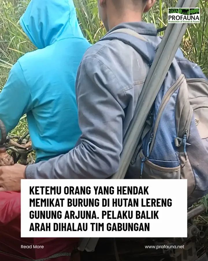 Tim Profauna dan Perhutani Halau Penangkap Burung di Hutan